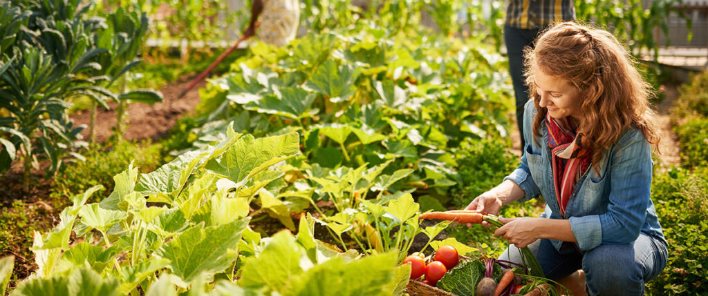 Urban Gardening